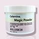 Очищувальна пудра для боротьби з чорними цятками і висипаннями HOLLYSKIN Calamine. Magic Powder, 30g 0289h фото 4