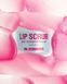 Скраб для губ із ароматом м&rsquo;ятно-малинового еклера Mr.SCRUBBER Lip Scrub Mint Raspberry Eclair 35 g 2068 фото 3